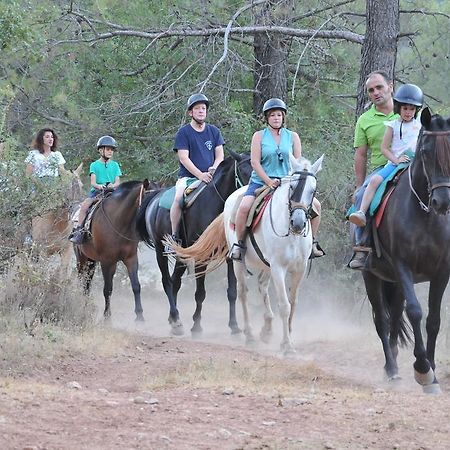 Alojamientos Rural Tejerina อาร์โรโยฟรีโอ ภายนอก รูปภาพ