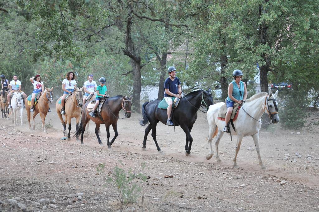 Alojamientos Rural Tejerina อาร์โรโยฟรีโอ ภายนอก รูปภาพ