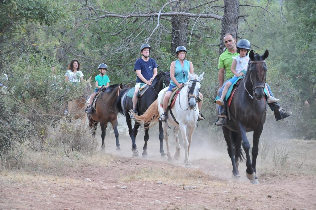 Alojamientos Rural Tejerina อาร์โรโยฟรีโอ ภายนอก รูปภาพ